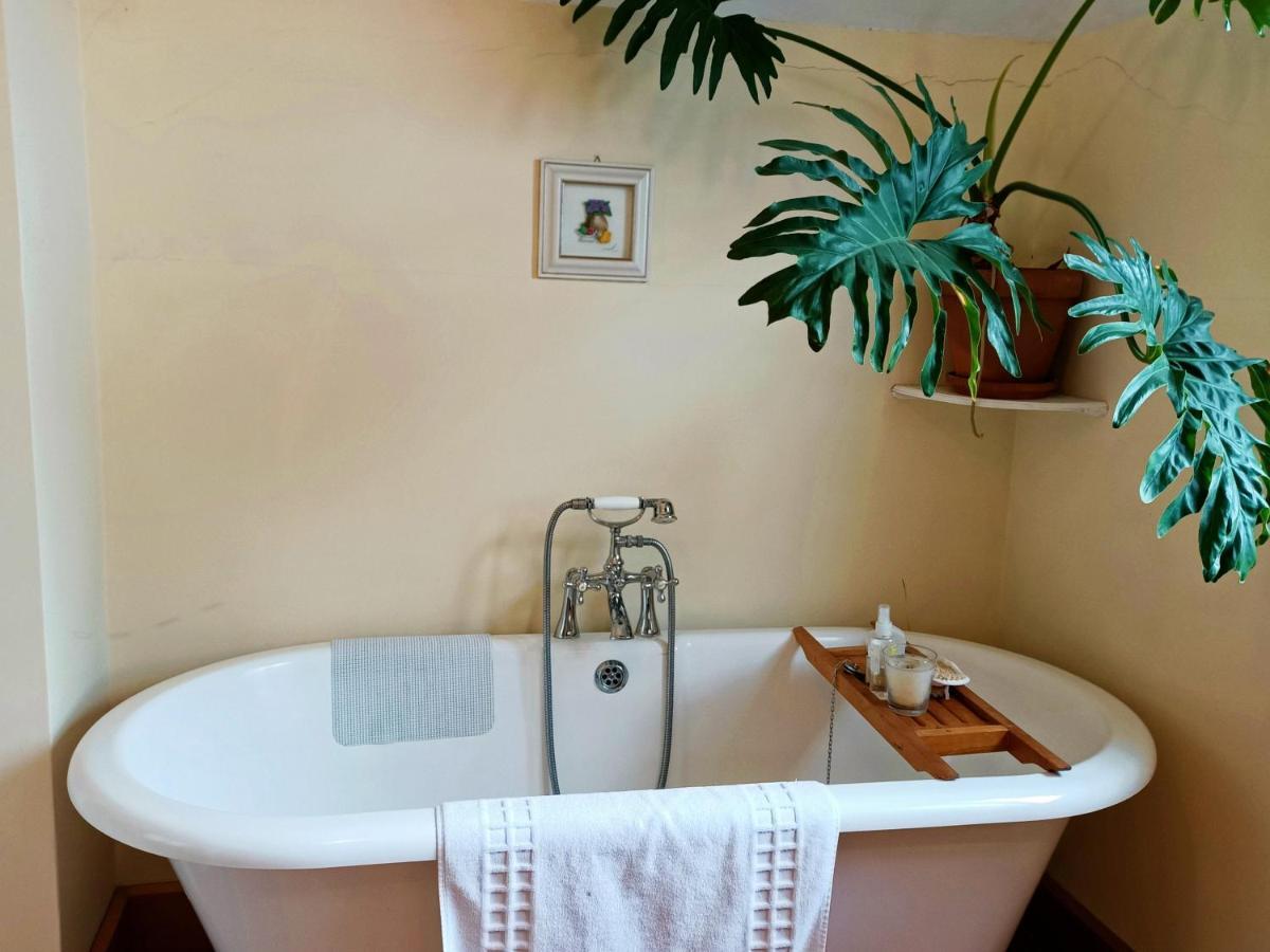 100 Year Old English Character House Hotel Timaru Buitenkant foto